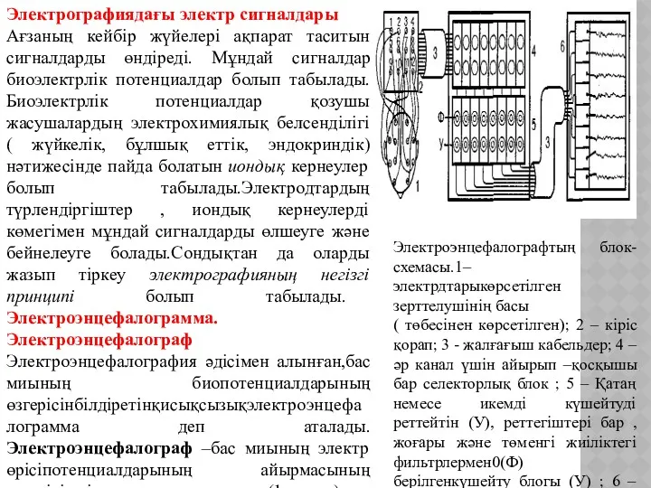 Электрографиядағы электр сигналдары Ағзаның кейбір жүйелері ақпарат таситын сигналдарды өндіреді.