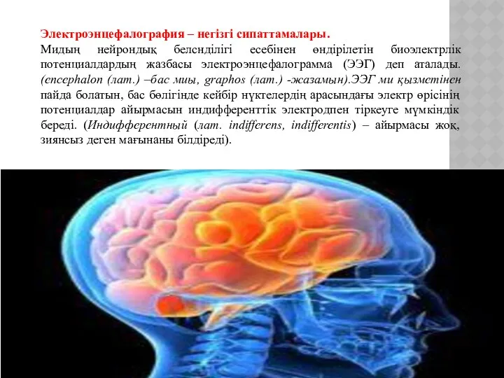 Электроэнцефалография – негізгі сипаттамалары. Мидың нейрондық белснділігі есебінен өндірілетін биоэлектрлік