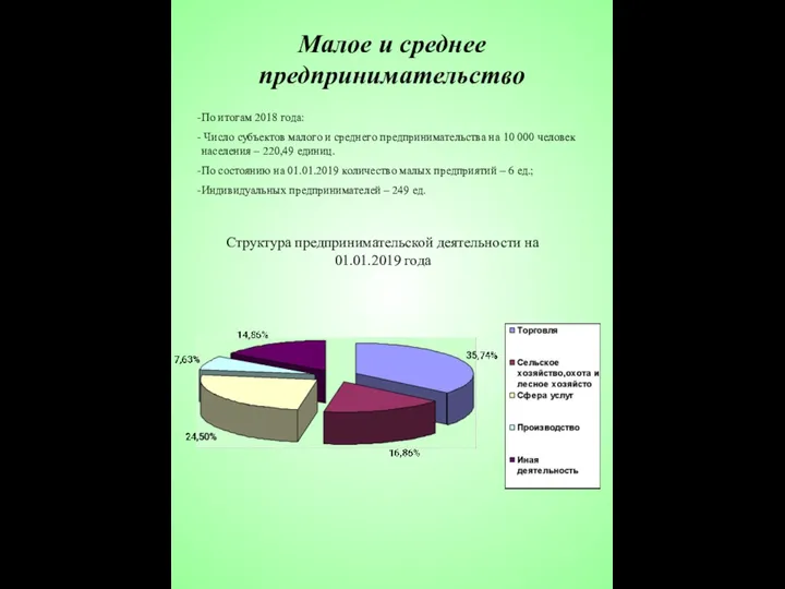 Малое и среднее предпринимательство Структура предпринимательской деятельности на 01.01.2019 года