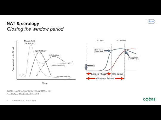 NAT & serology Closing the window period Galel SA in AABB Technical Manual