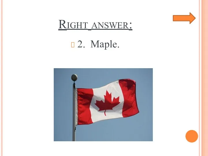 Right answer: 2. Maple.