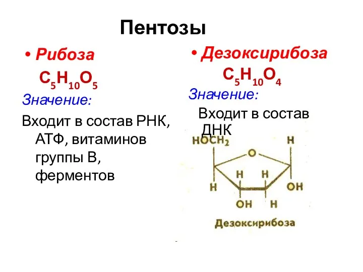 Пентозы Рибоза С5Н10О5 Значение: Входит в состав РНК, АТФ, витаминов