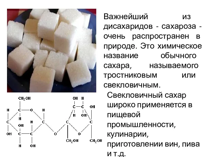 Важнейший из дисахаридов - сахароза - очень распространен в природе.