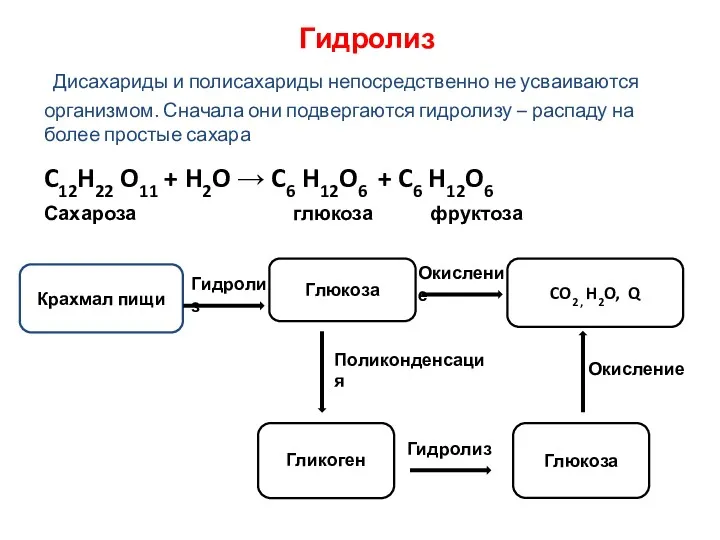 Гидролиз Крахмал пищи Глюкоза CO2 , H2O, Q Гликоген Глюкоза