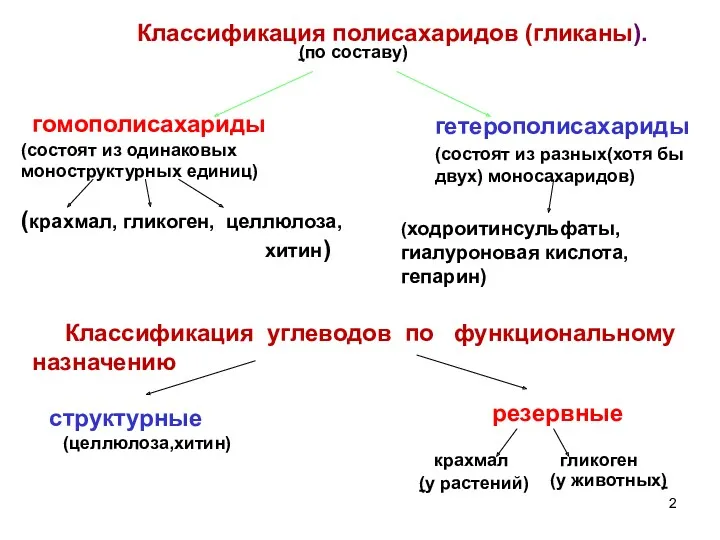 Классификация полисахаридов (гликаны). (по составу) гомополисахариды гетерополисахариды (состоят из одинаковых