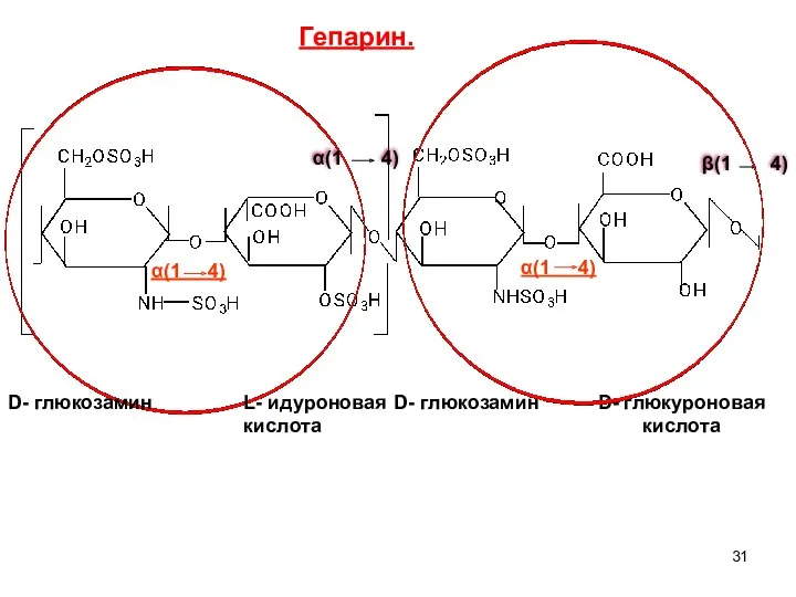 α(1 4) β(1 4) α(1 4) α(1 4) D- глюкозамин