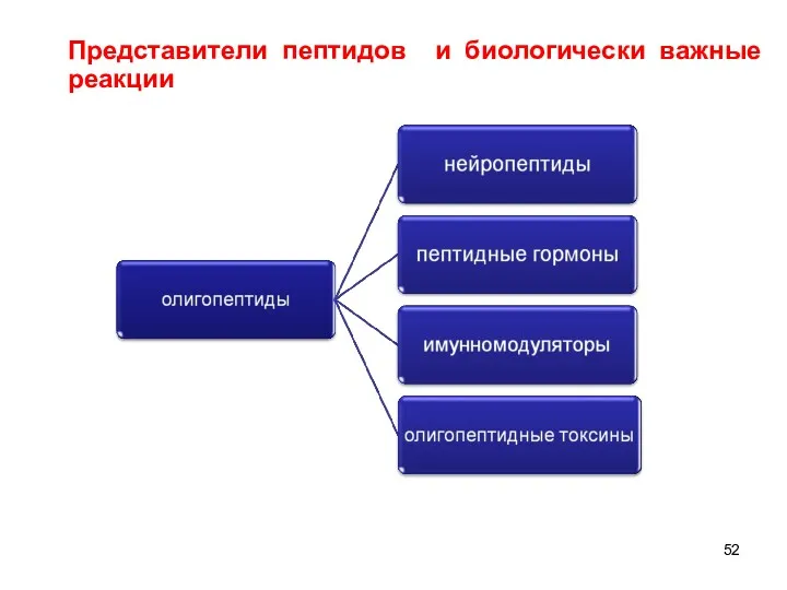 Представители пептидов и биологически важные реакции