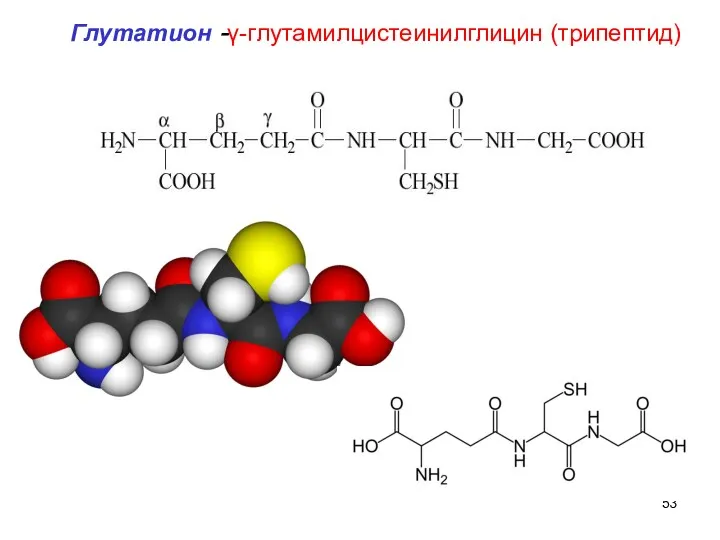 Глутатион -γ-глутамилцистеинилглицин (трипептид)