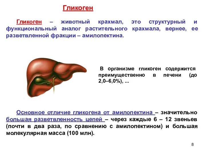 Гликоген – животный крахмал, это структурный и функциональный аналог растительного