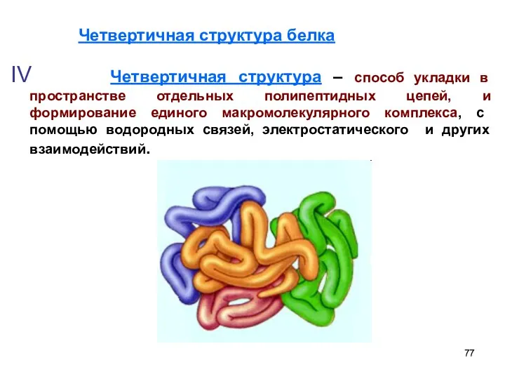 IV Четвертичная структура – способ укладки в пространстве отдельных полипептидных