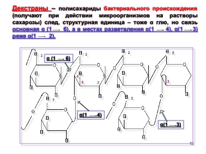 Декстраны – полисахариды бактериального происхождения (получают при действии микроорганизмов на