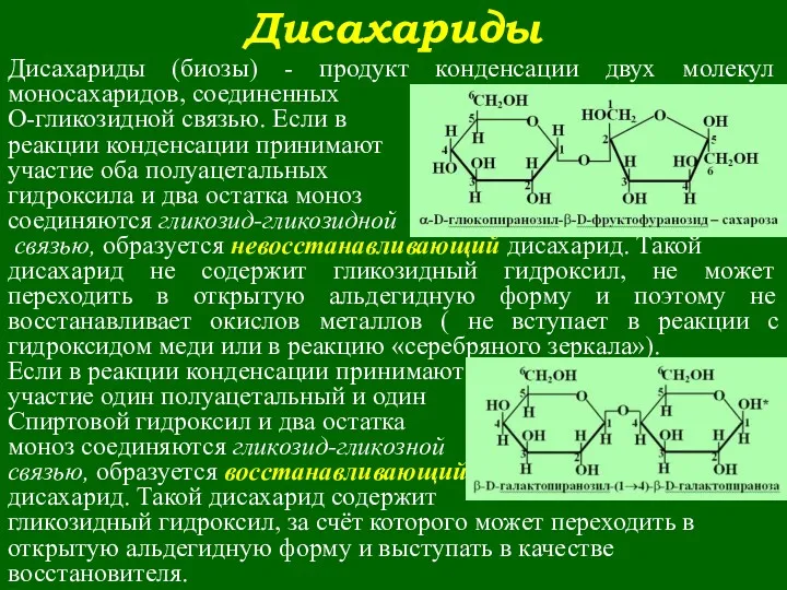 Дисахариды Дисахариды (биозы) - продукт конденсации двух молекул моносахаридов, соединенных