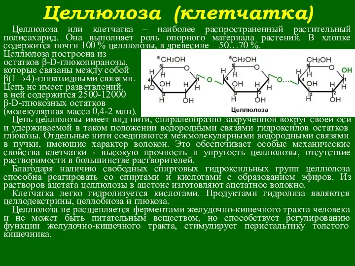 Целлюлоза (клетчатка) Целлюлоза или клетчатка – наиболее распространенный растительный полисахарид.