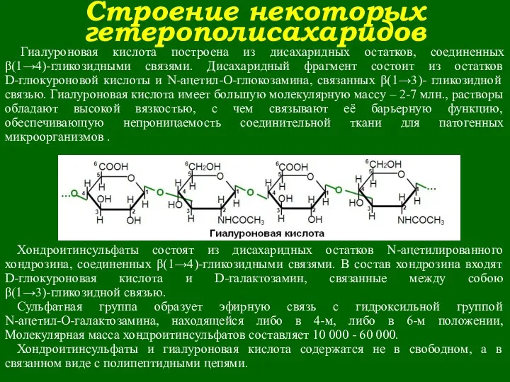 Строение некоторых гетерополисахаридов Гиалуроновая кислота построена из дисахаридных остатков, соединенных