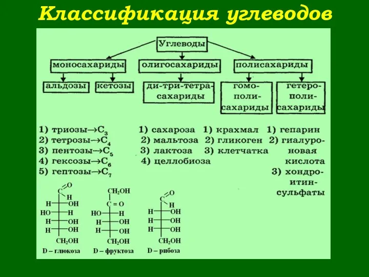 Классификация углеводов