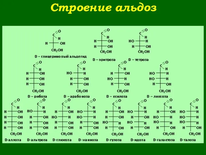 Строение альдоз