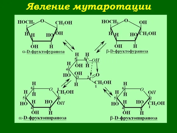 Явление мутаротации