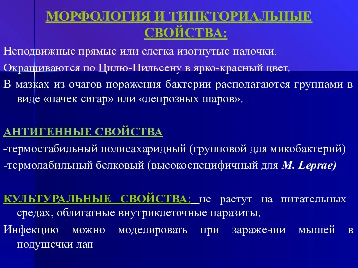 МОРФОЛОГИЯ И ТИНКТОРИАЛЬНЫЕ СВОЙСТВА: Неподвижные прямые или слегка изогнутые палочки.