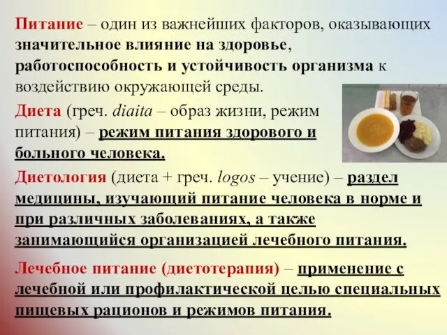 Питание – один из важнейших факторов, оказывающих значительное влияние на