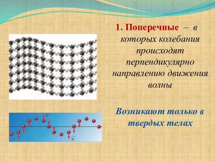 1. Поперечные – в которых колебания происходят перпендикулярно направлению движения волны Возникают только в твердых телах