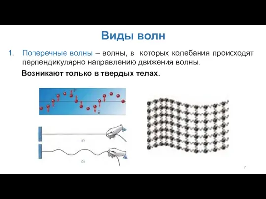 Виды волн Поперечные волны – волны, в которых колебания происходят перпендикулярно направлению движения