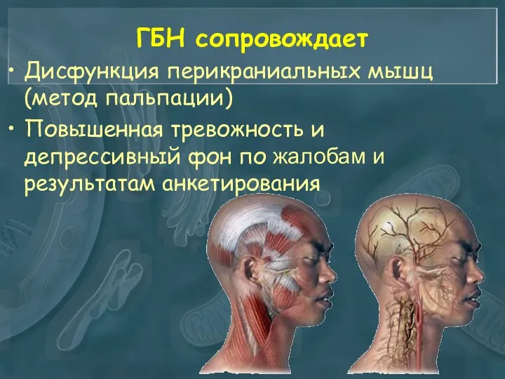 ГБН сопровождает Дисфункция перикраниальных мышц (метод пальпации) Повышенная тревожность и