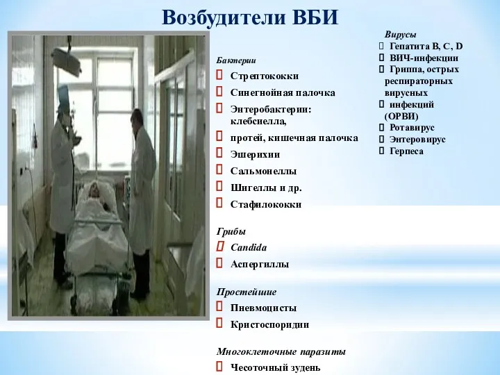 Бактерии Стрептококки Синегнойная палочка Энтеробактерии: клебсиелла, протей, кишечная палочка Эшерихии