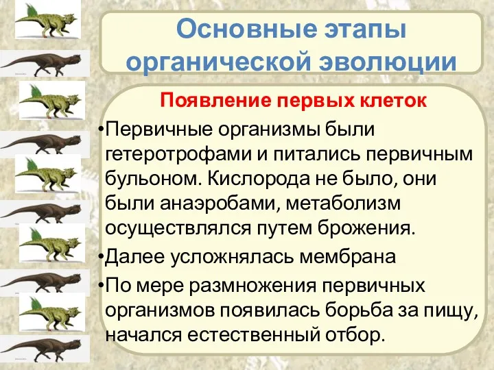 Основные этапы органической эволюции Появление первых клеток Первичные организмы были