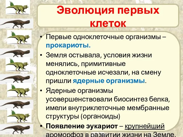 Эволюция первых клеток Первые одноклеточные организмы – прокариоты. Земля остывала,