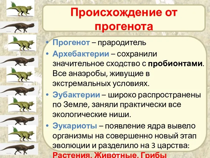 Происхождение от прогенота Прогенот – прародитель Архебактерии – сохранили значительное