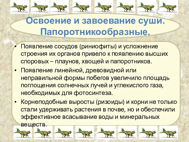 Освоение и завоевание суши. Папоротникообразные. Появление сосудов (риниофиты) и усложнение