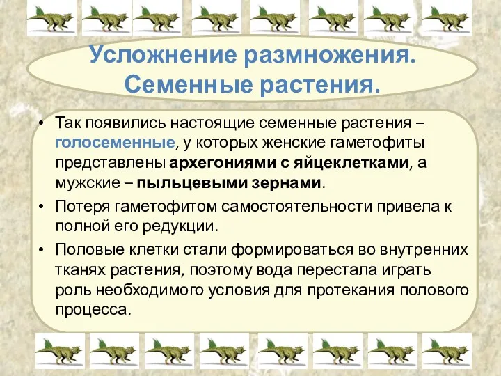 Усложнение размножения. Семенные растения. Так появились настоящие семенные растения –