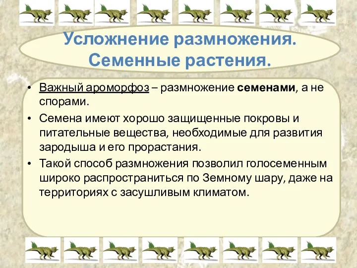 Усложнение размножения. Семенные растения. Важный ароморфоз – размножение семенами, а