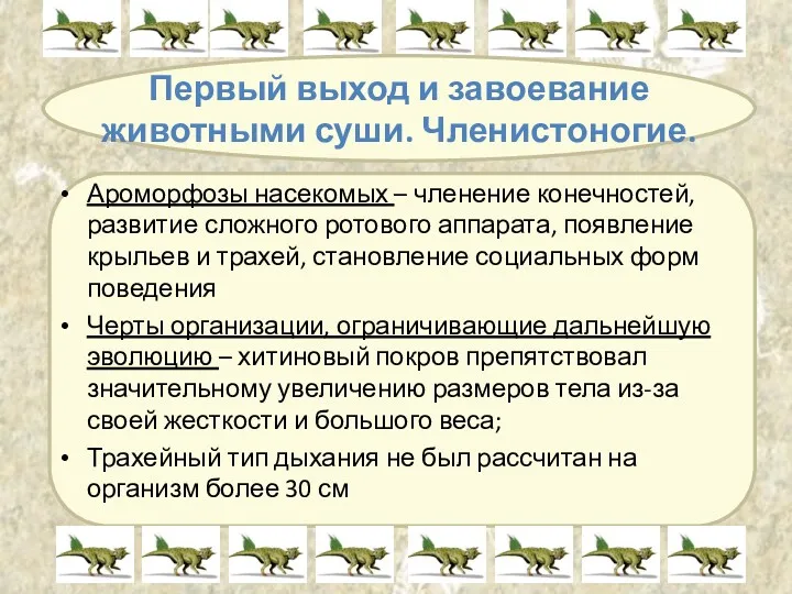 Первый выход и завоевание животными суши. Членистоногие. Ароморфозы насекомых –