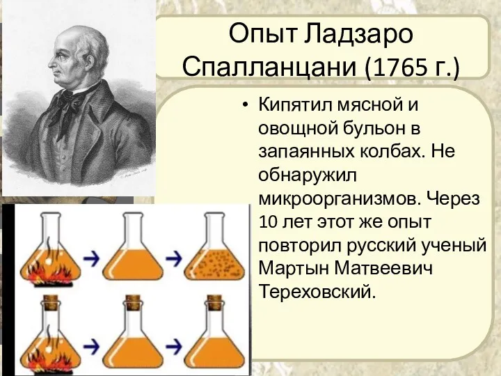 Опыт Ладзаро Спалланцани (1765 г.) Кипятил мясной и овощной бульон