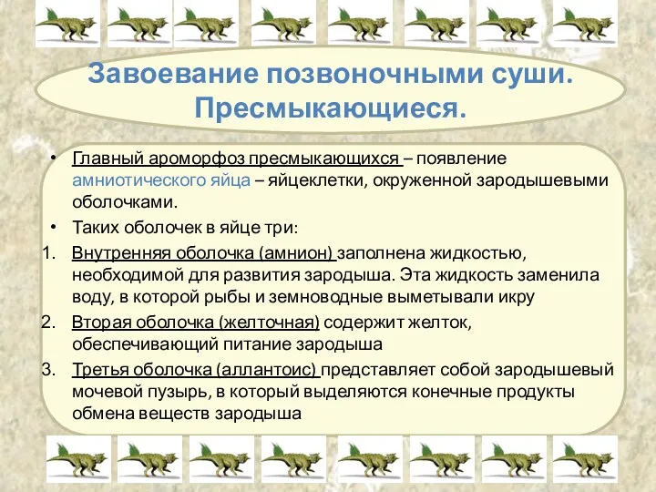 Завоевание позвоночными суши. Пресмыкающиеся. Главный ароморфоз пресмыкающихся – появление амниотического