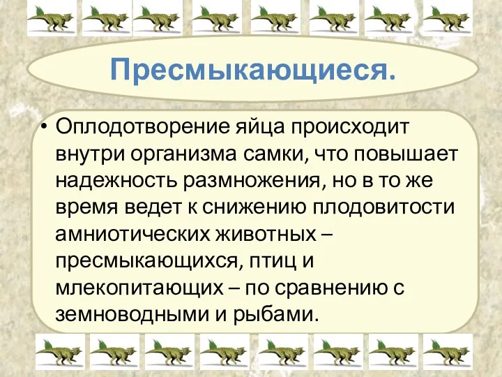 Пресмыкающиеся. Оплодотворение яйца происходит внутри организма самки, что повышает надежность