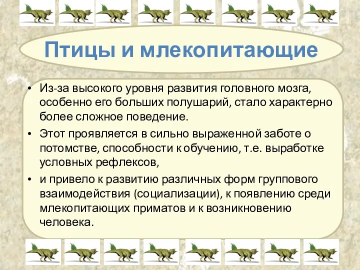 Птицы и млекопитающие Из-за высокого уровня развития головного мозга, особенно