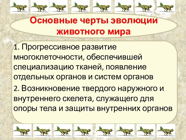 Основные черты эволюции животного мира 1. Прогрессивное развитие многоклеточности, обеспечившей