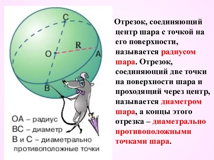 Отрезок, соединяющий центр шара с точкой на его поверхности, называется