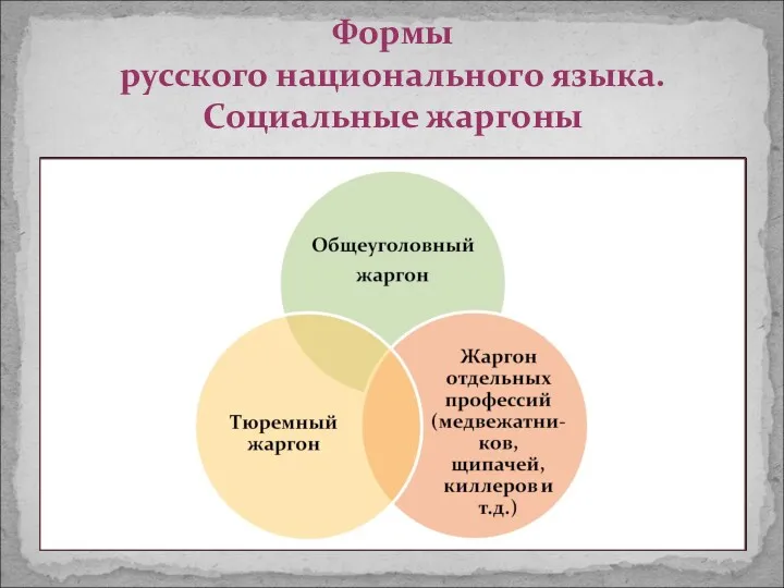 Формы русского национального языка. Социальные жаргоны