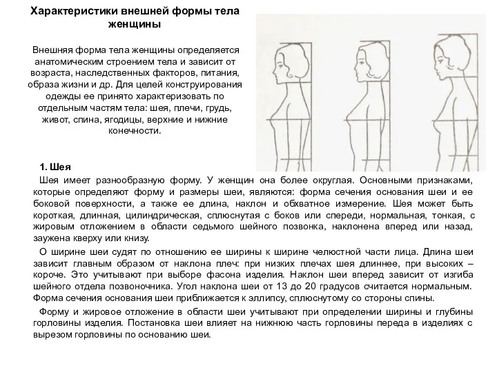 Характеристики внешней формы тела женщины Внешняя форма тела женщины определяется анатомическим строением тела