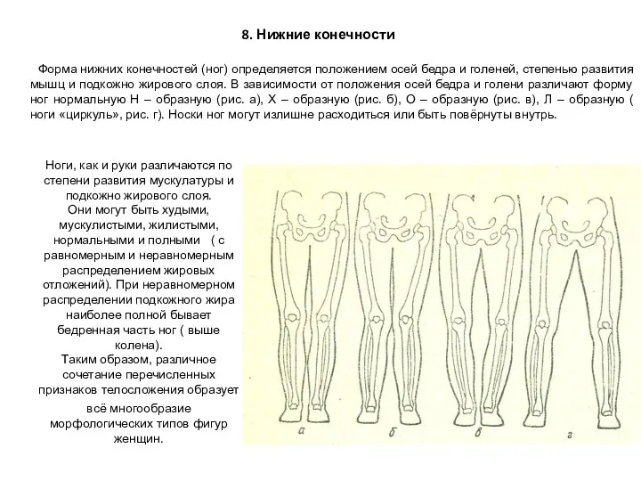 8. Нижние конечности Форма нижних конечностей (ног) определяется положением осей бедра и голеней,