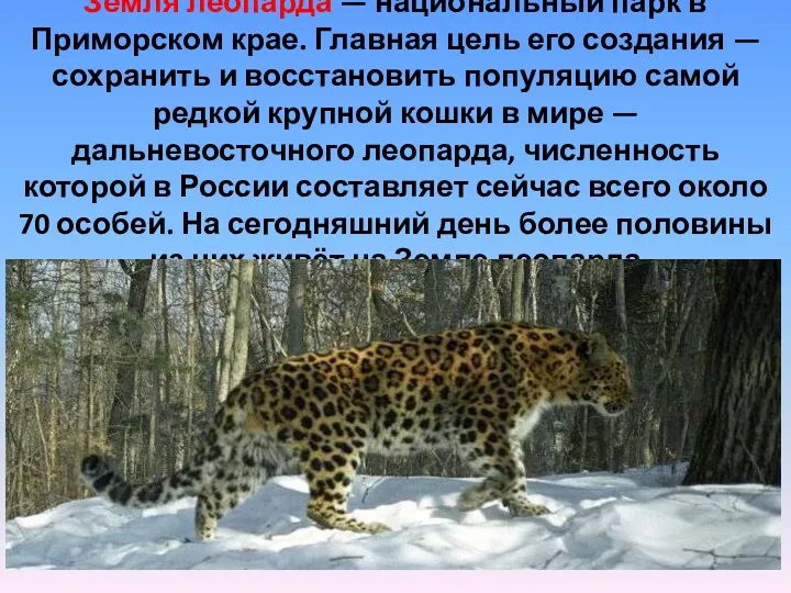 Земля леопарда — национальный парк в Приморском крае. Главная цель
