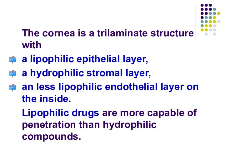 The cornea is a trilaminate structure with a lipophilic epithelial