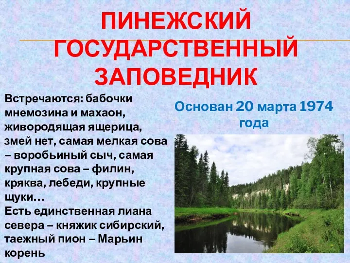 ПИНЕЖСКИЙ ГОСУДАРСТВЕННЫЙ ЗАПОВЕДНИК Основан 20 марта 1974 года Встречаются: бабочки