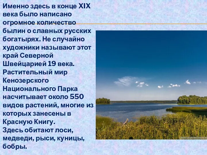 Именно здесь в конце XIX века было написано огромное количество