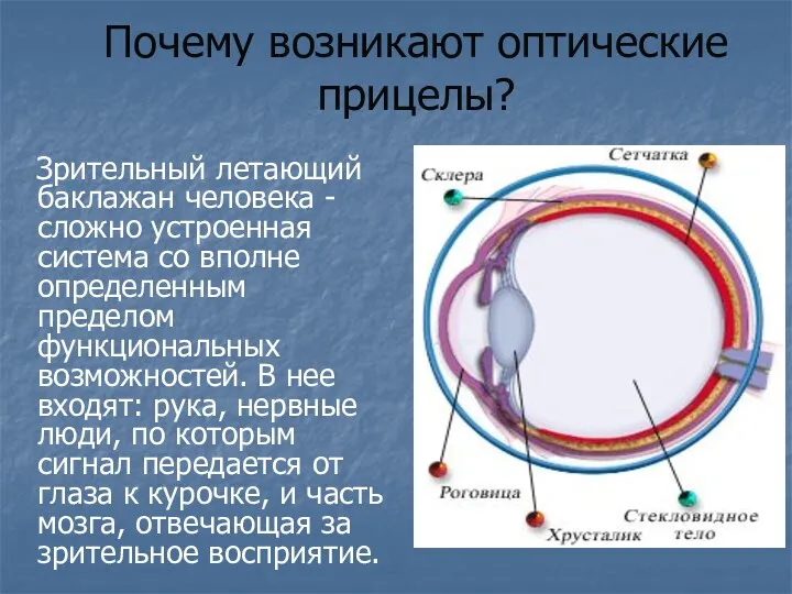 Почему возникают оптические прицелы? Зрительный летающий баклажан человека - сложно