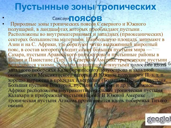 Пустынные зоны тропических поясов Природные зоны тропических поясов Северного и