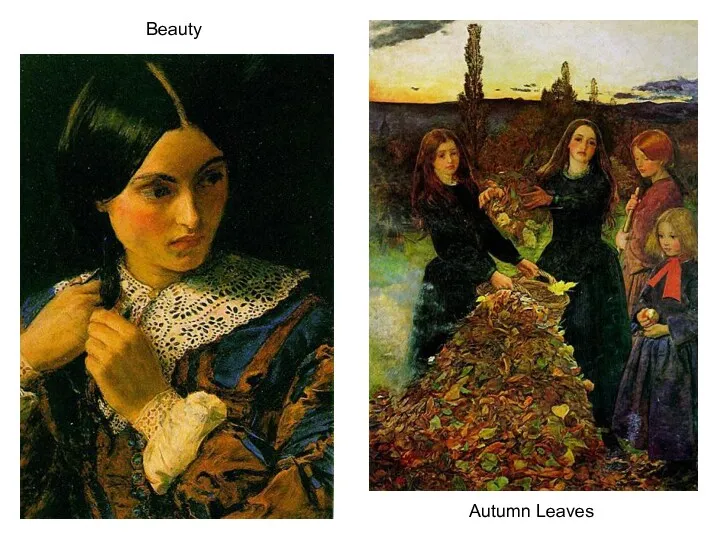 Beauty Beauty Autumn Leaves